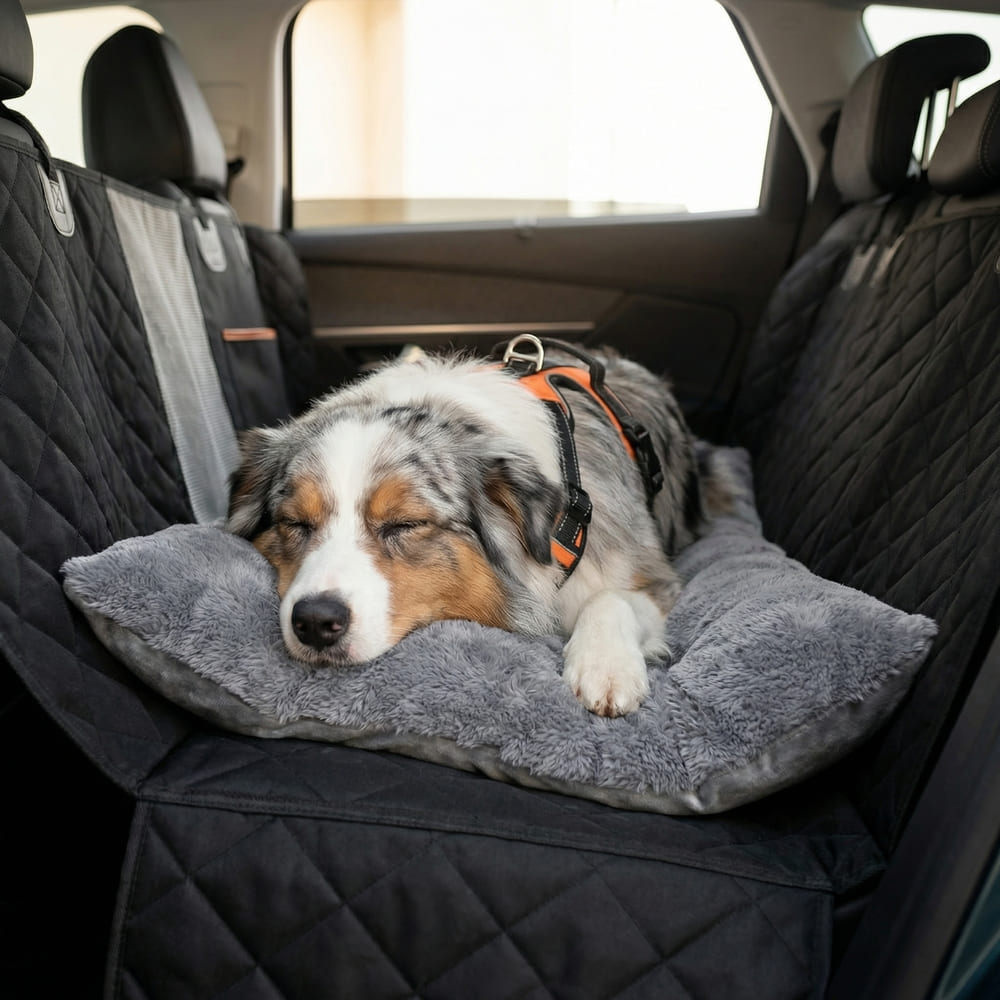 Tapis chien voiture apaisant