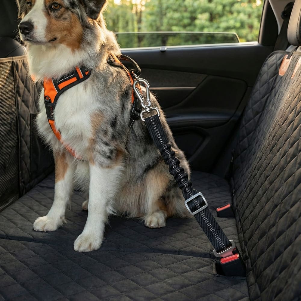 Protection voiture pour chien base rigide - Trotter Shield