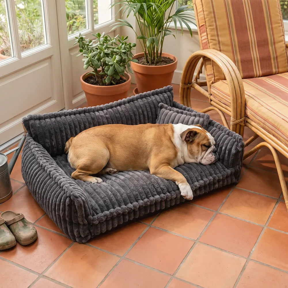 Canapé lit orthopédique pour chien