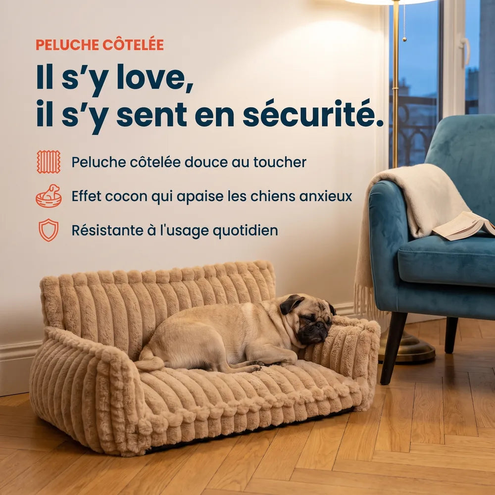 Canapé lit orthopédique pour chien