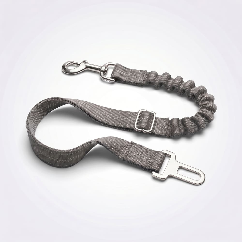 Ceinture de sécurité pour chien