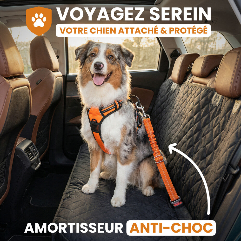 Ceinture de sécurité pour chien anti-choc - Dog Trotter™