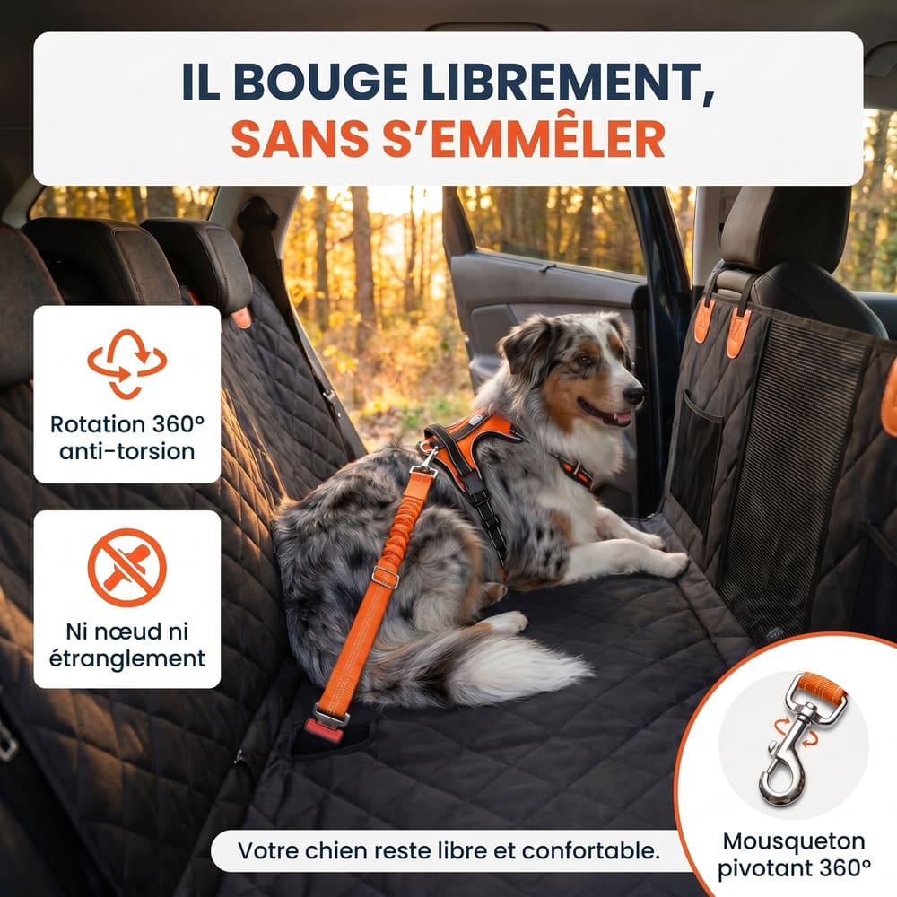 Ceinture de sécurité pour chien