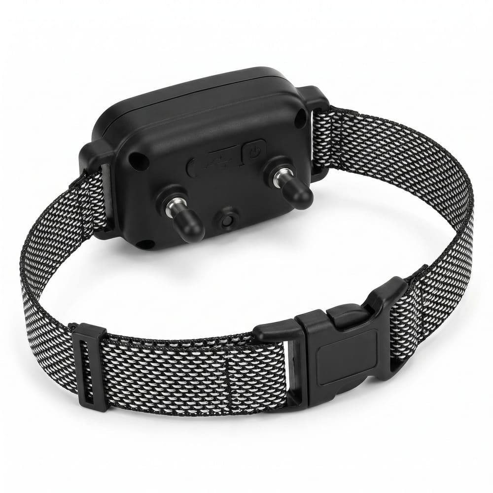 Collier anti-aboiement éducatif