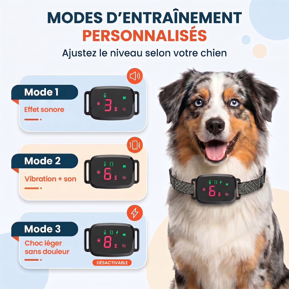 Collier anti-aboiement éducatif nouvelle génération