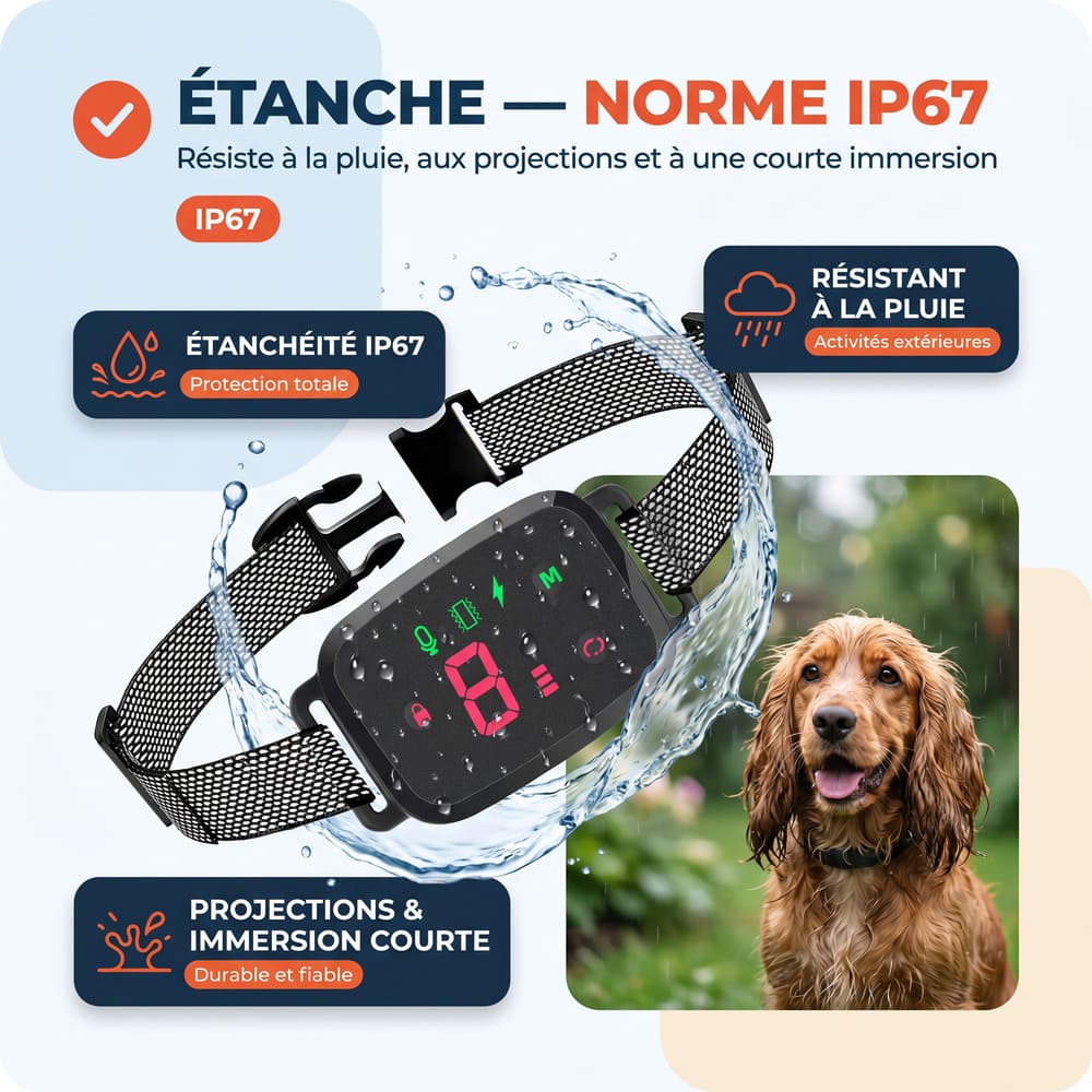 Collier anti-aboiement éducatif