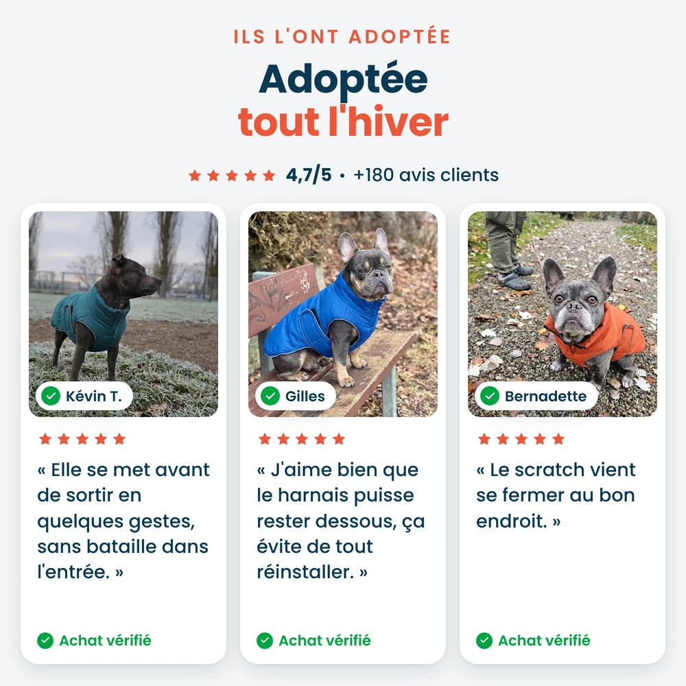 Avis clients sur la doudoune pour chien Dog Trotter, notée 4,7/5 par plus de 180 maîtres