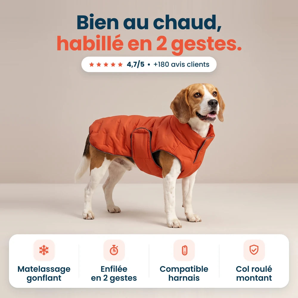 Doudoune matelassée pour chien enfilée en 2 gestes, col roulé montant et compatible harnais, notée 4,7/5