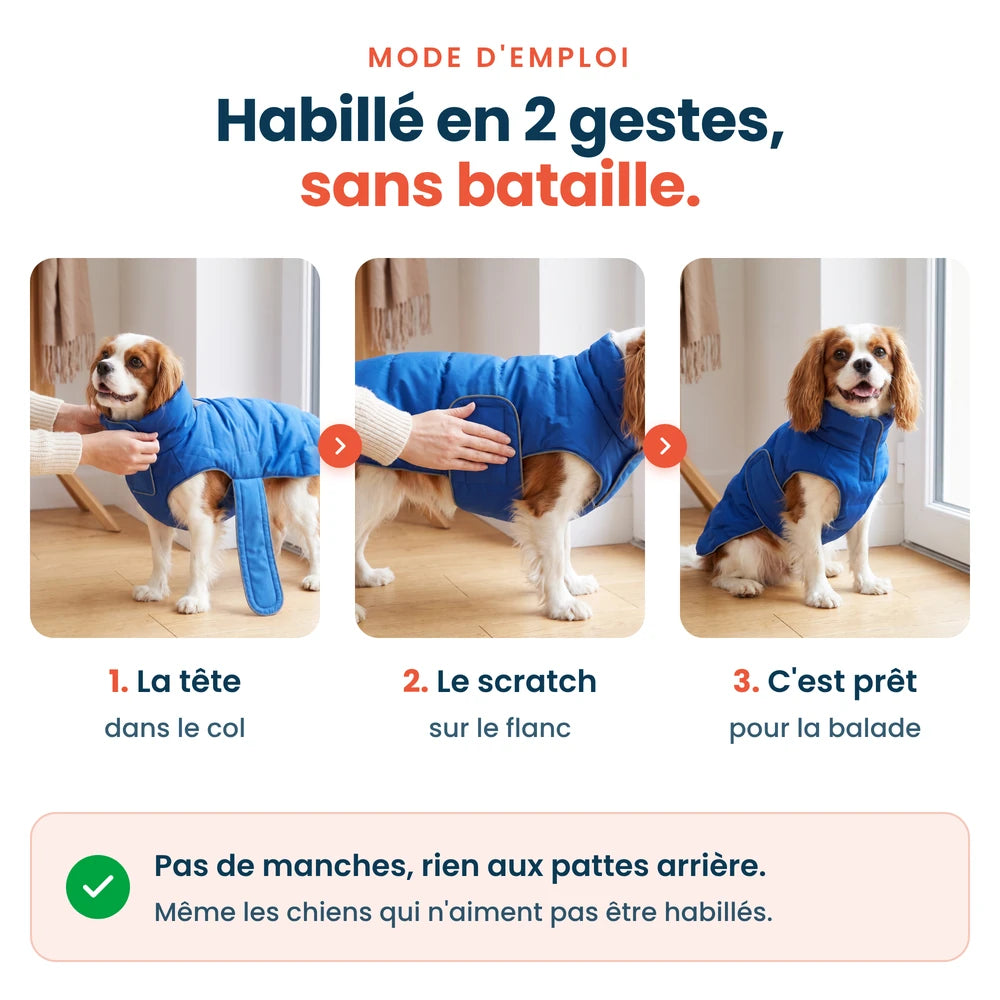 Enfiler la doudoune pour chien en 3 étapes : la tête dans le col, le scratch sur le flanc, prêt pour la balade