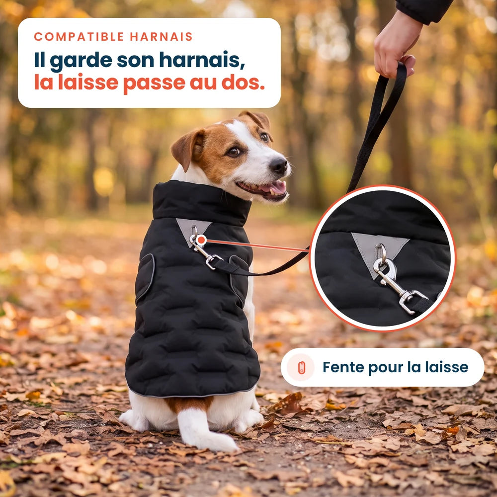 Doudoune pour chien noire compatible harnais : la laisse passe par la fente du dos