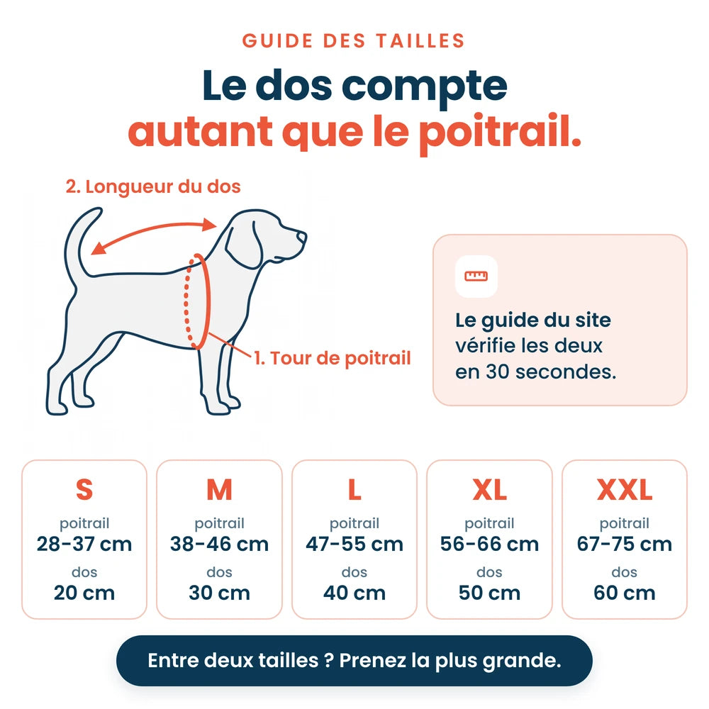 Guide des tailles de la doudoune pour chien, du S au XXL selon le tour de poitrail et la longueur du dos