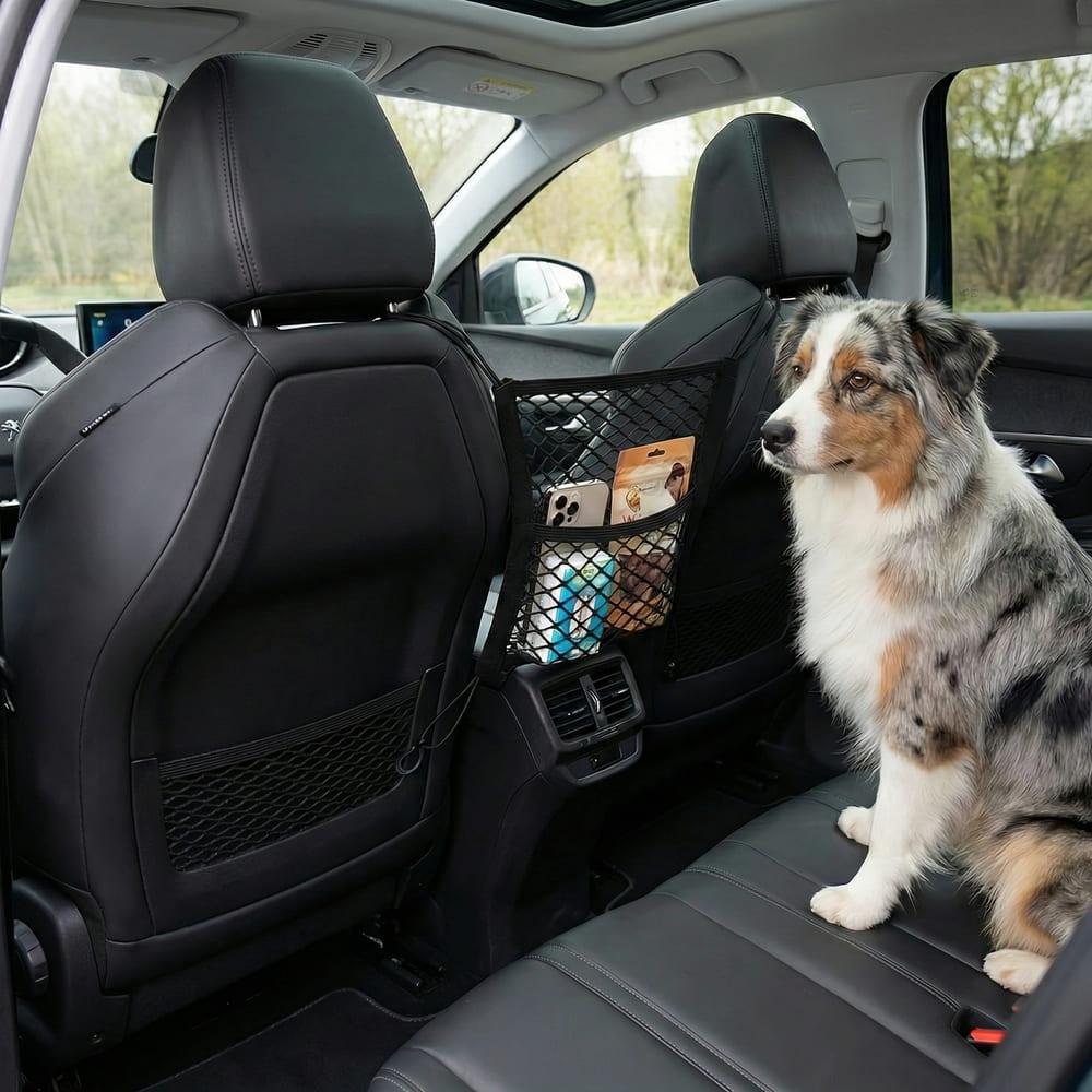 Filet de protection chien voiture