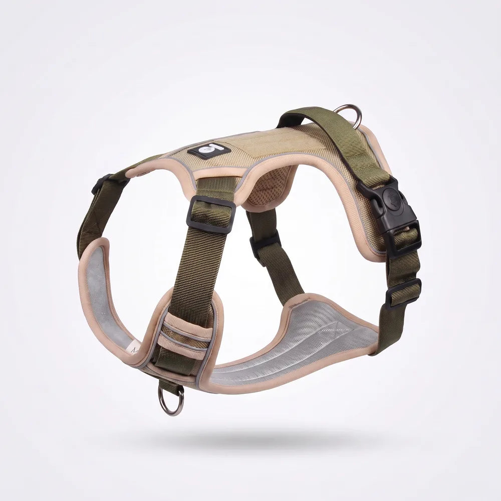 Harnais anti-traction en Y pour chien