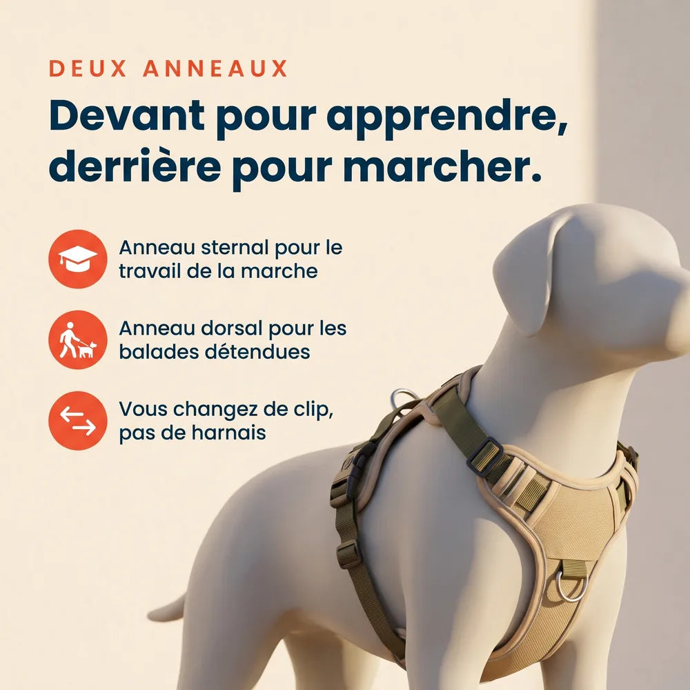 Harnais anti-traction en Y pour chien