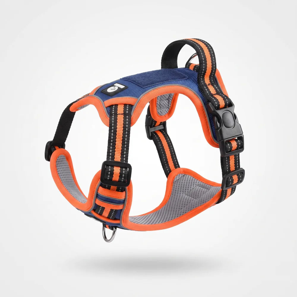 Harnais anti-traction en Y pour chien