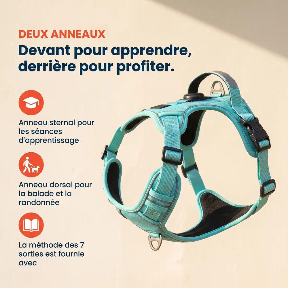 Harnais pour chien anti-traction & anti-fugue