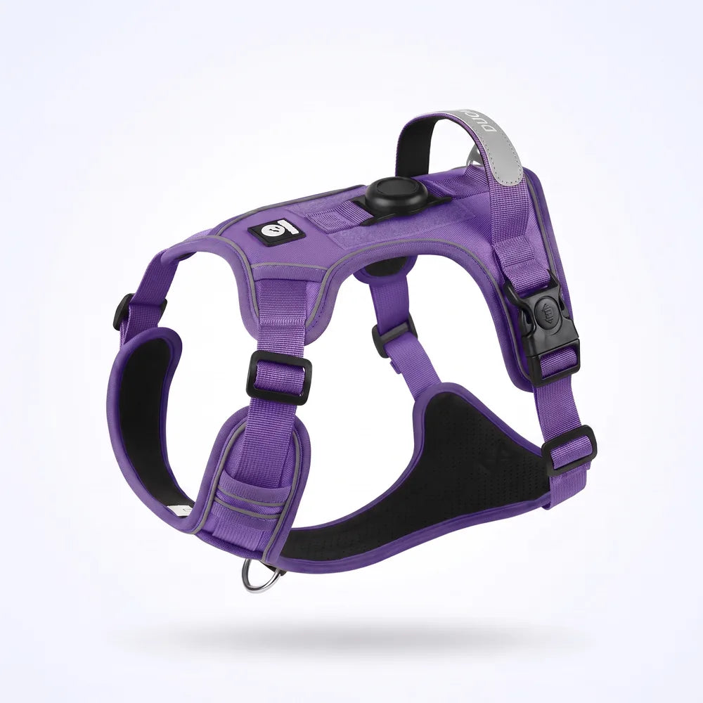 Harnais pour chien anti-traction & anti-fugue