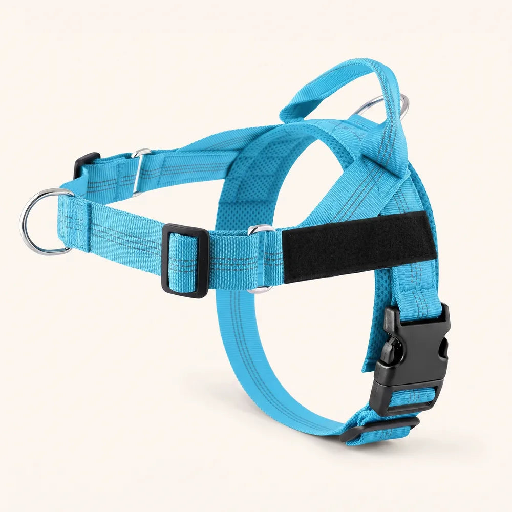 Harnais pour chien anti-traction Dog Trotter™