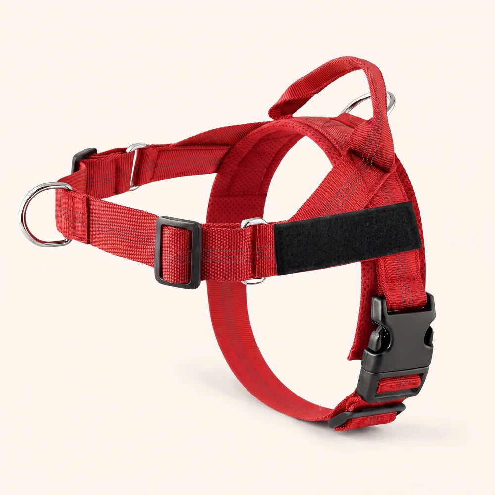 Harnais pour chien anti-traction Dog Trotter™