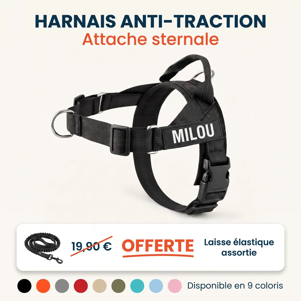 Harnais pour chien anti-traction Dog Trotter™