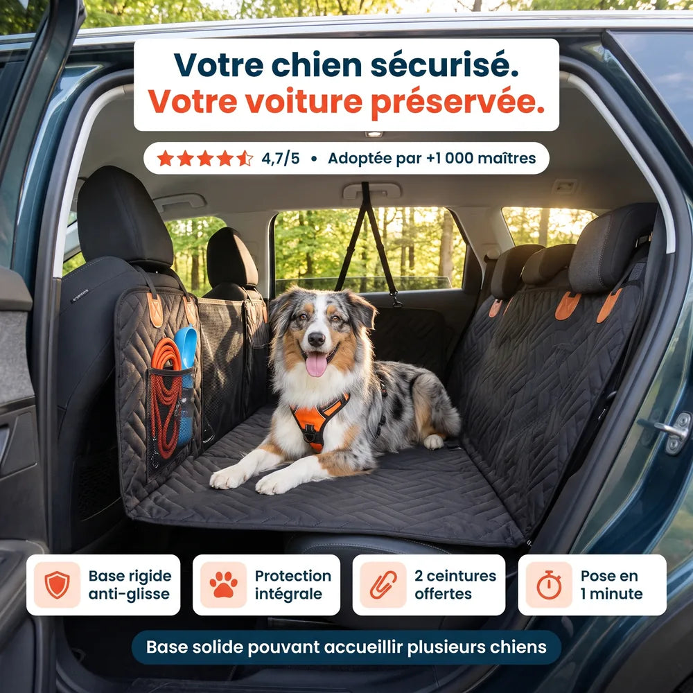 Housse de protection voiture pour chien à base rigide Dog Trotter installée, berger australien allongé à l'arrière