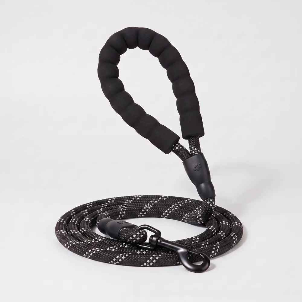 Laisse pour chien qui tire