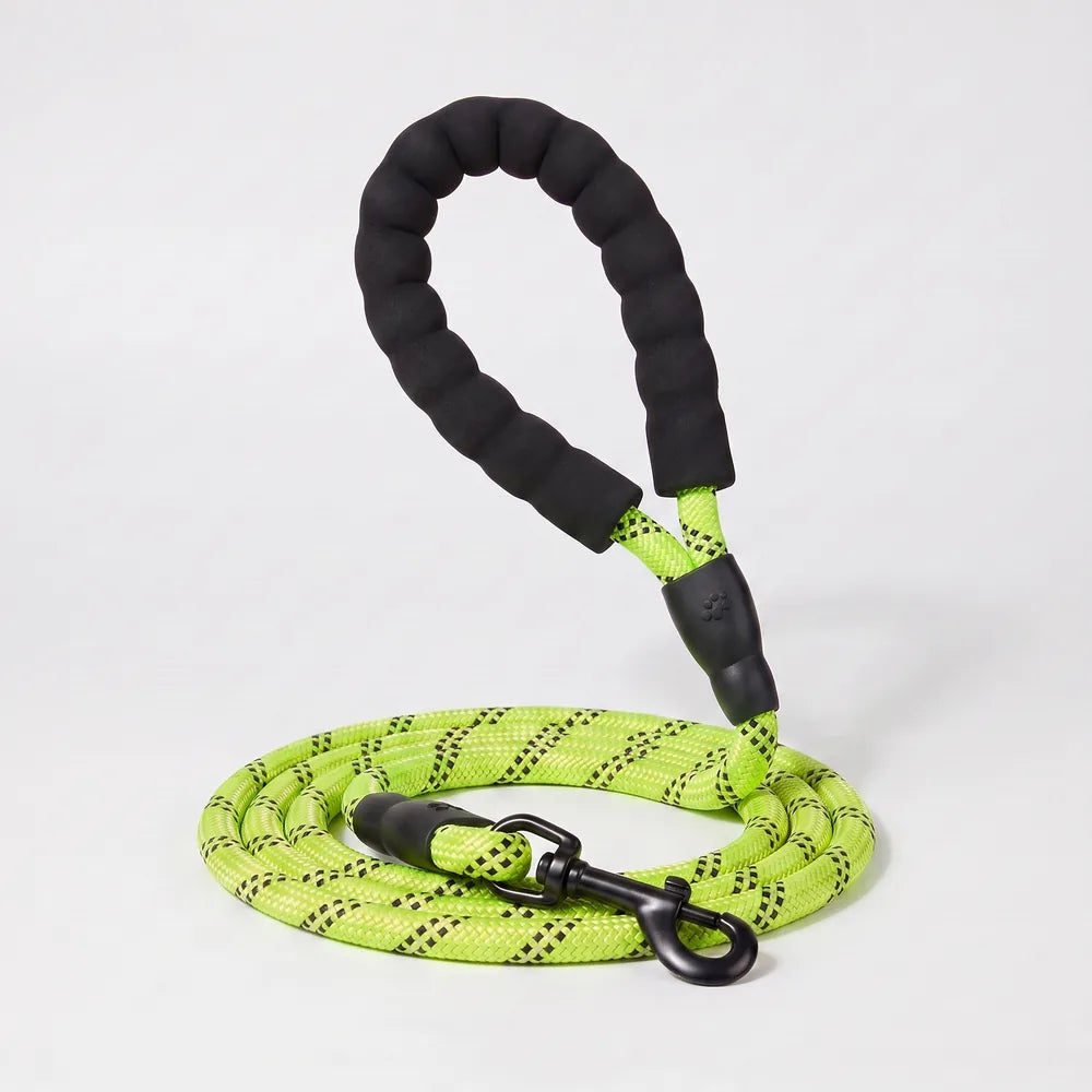 Laisse pour chien qui tire