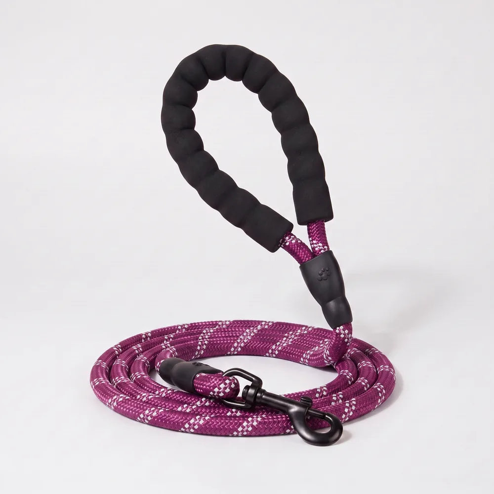 Laisse pour chien qui tire