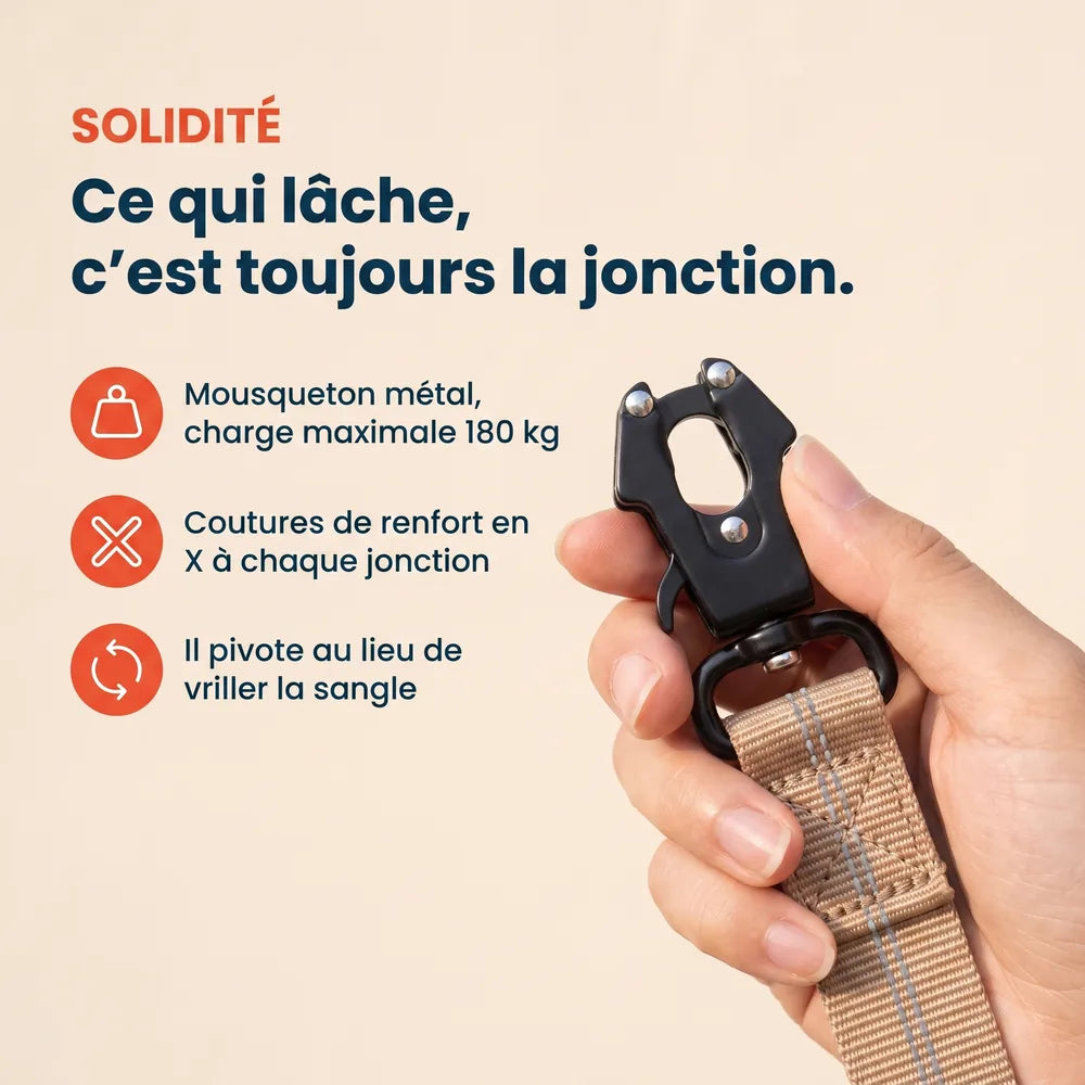 Laisse amortisseur voiture pour chien