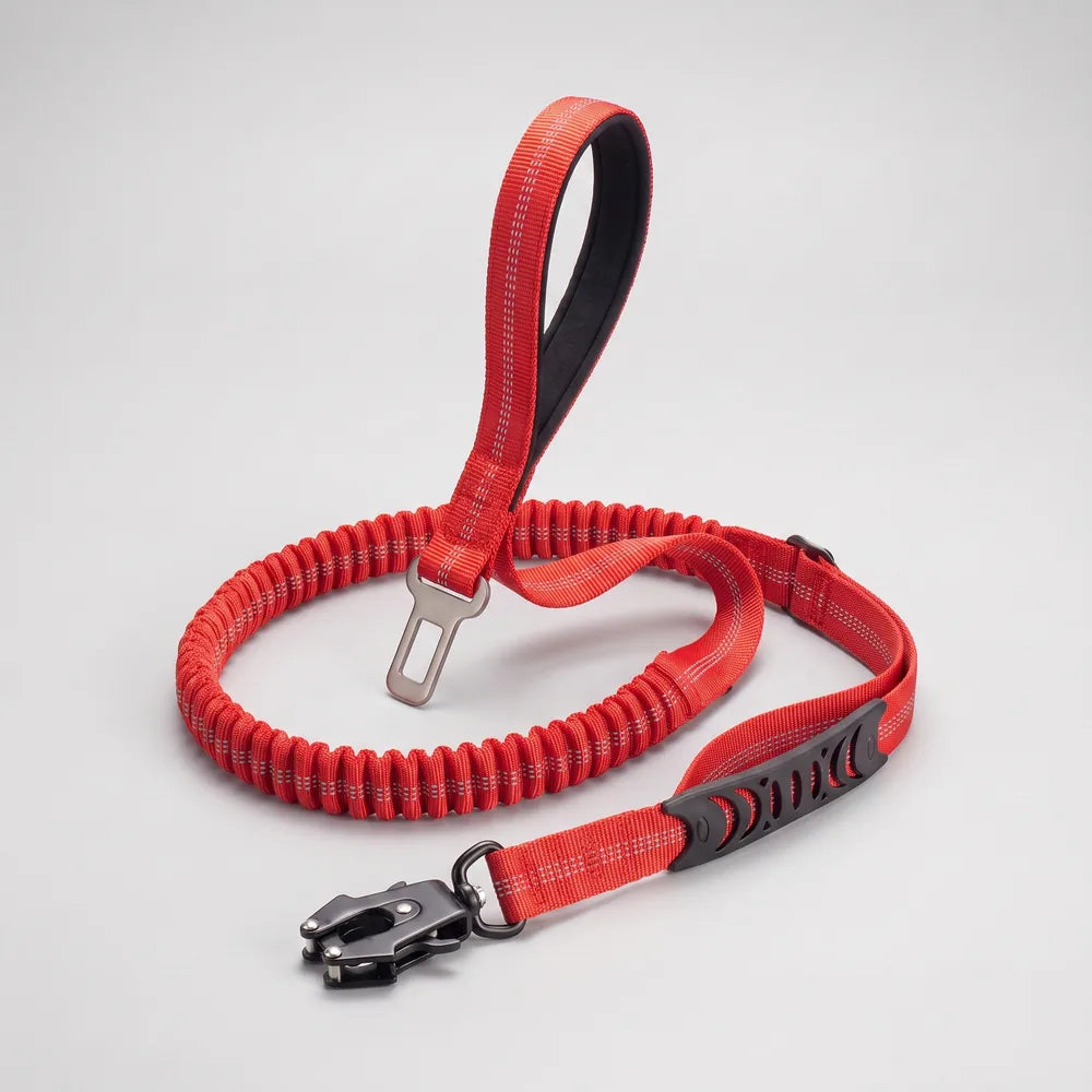 Laisse amortisseur voiture pour chien