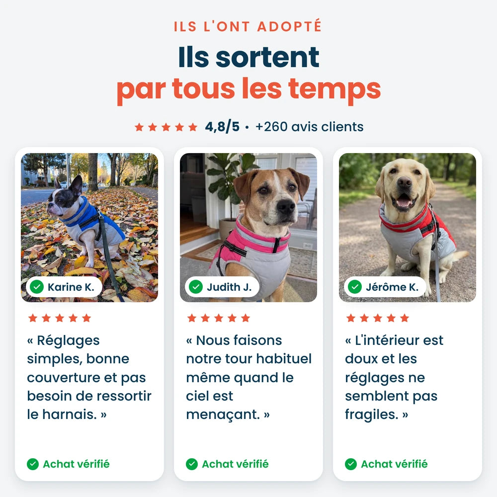 Avis clients sur le manteau imperméable pour chien Dog Trotter, noté 4,8/5 par plus de 260 maîtres
