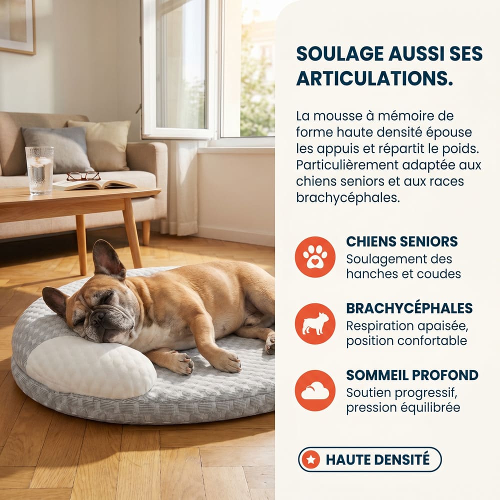 Matelas rafraîchissant pour chien