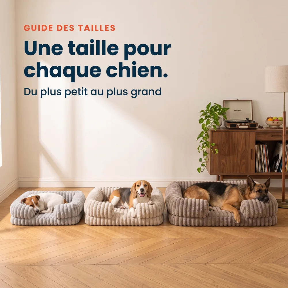 Panier orthopédique pour chien en velours côtelé