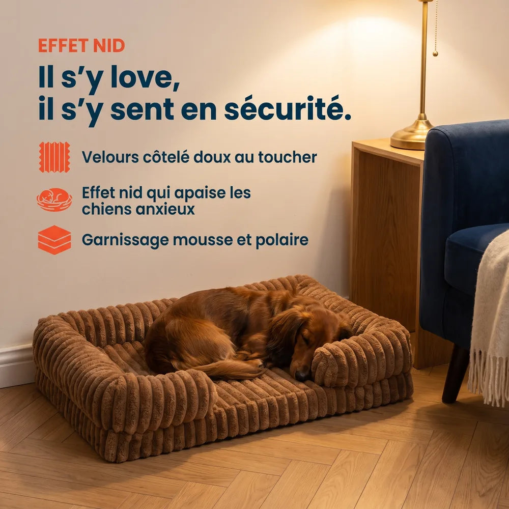 Panier orthopédique pour chien