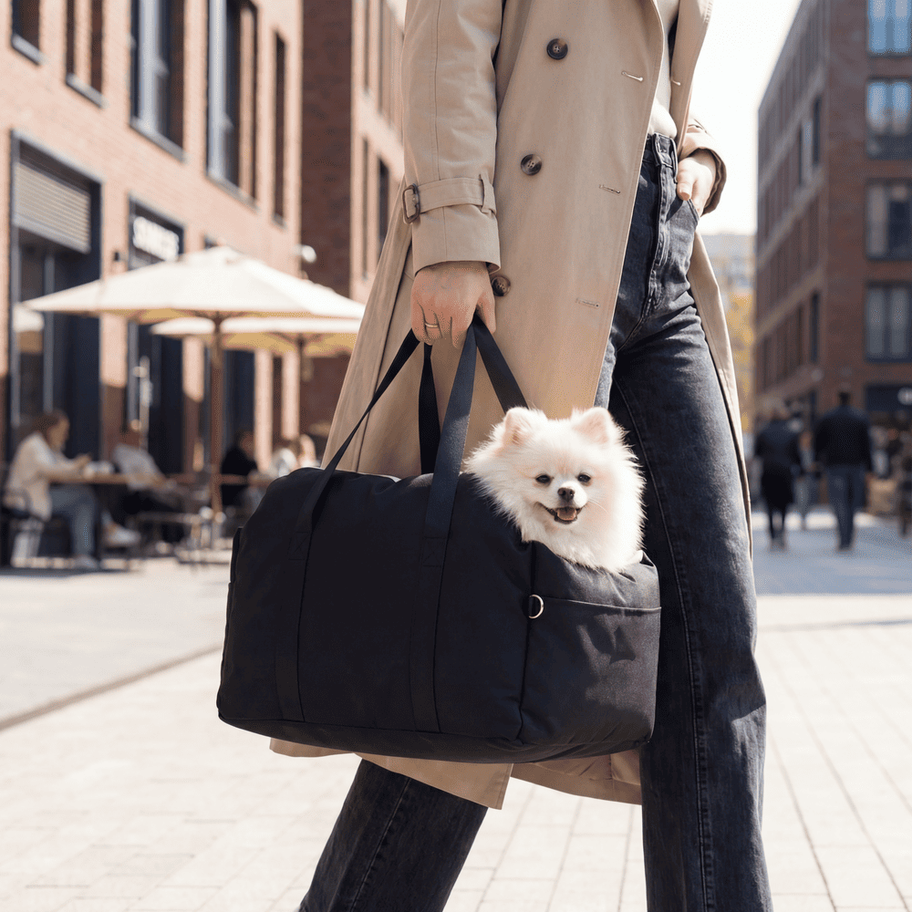 Panier de voiture petit chien