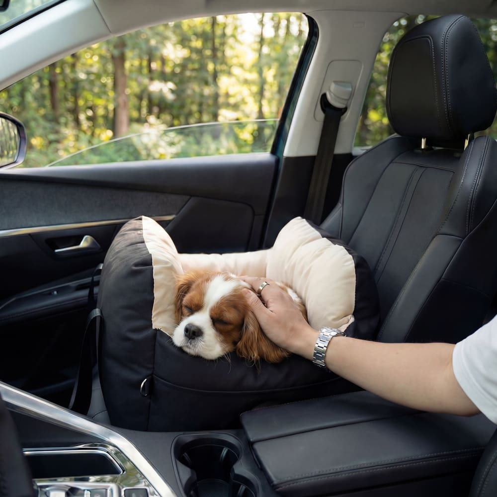 Panier de voiture petit chien