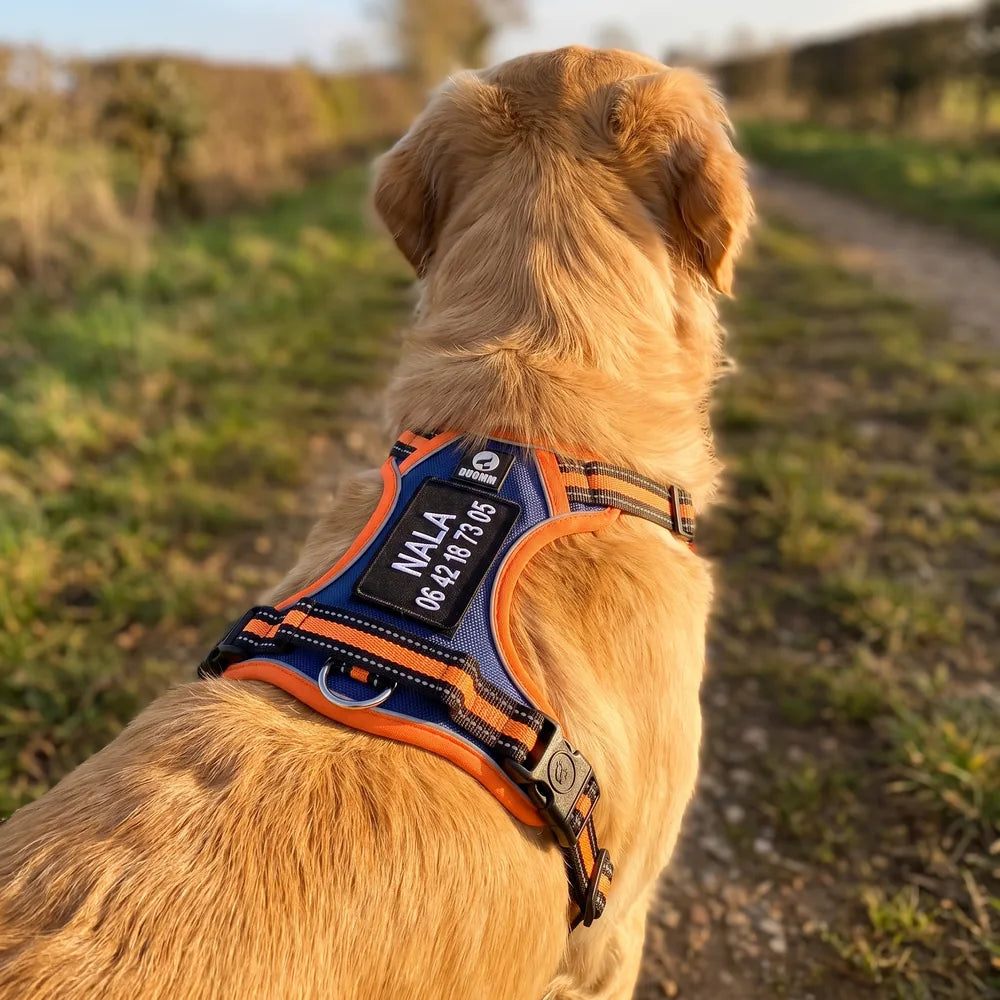 Patch brodé personnalisable pour chien