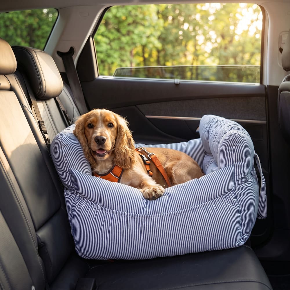 Golden retriever installé dans le sac de transport pour petit chien, rayé bleu, en voiture