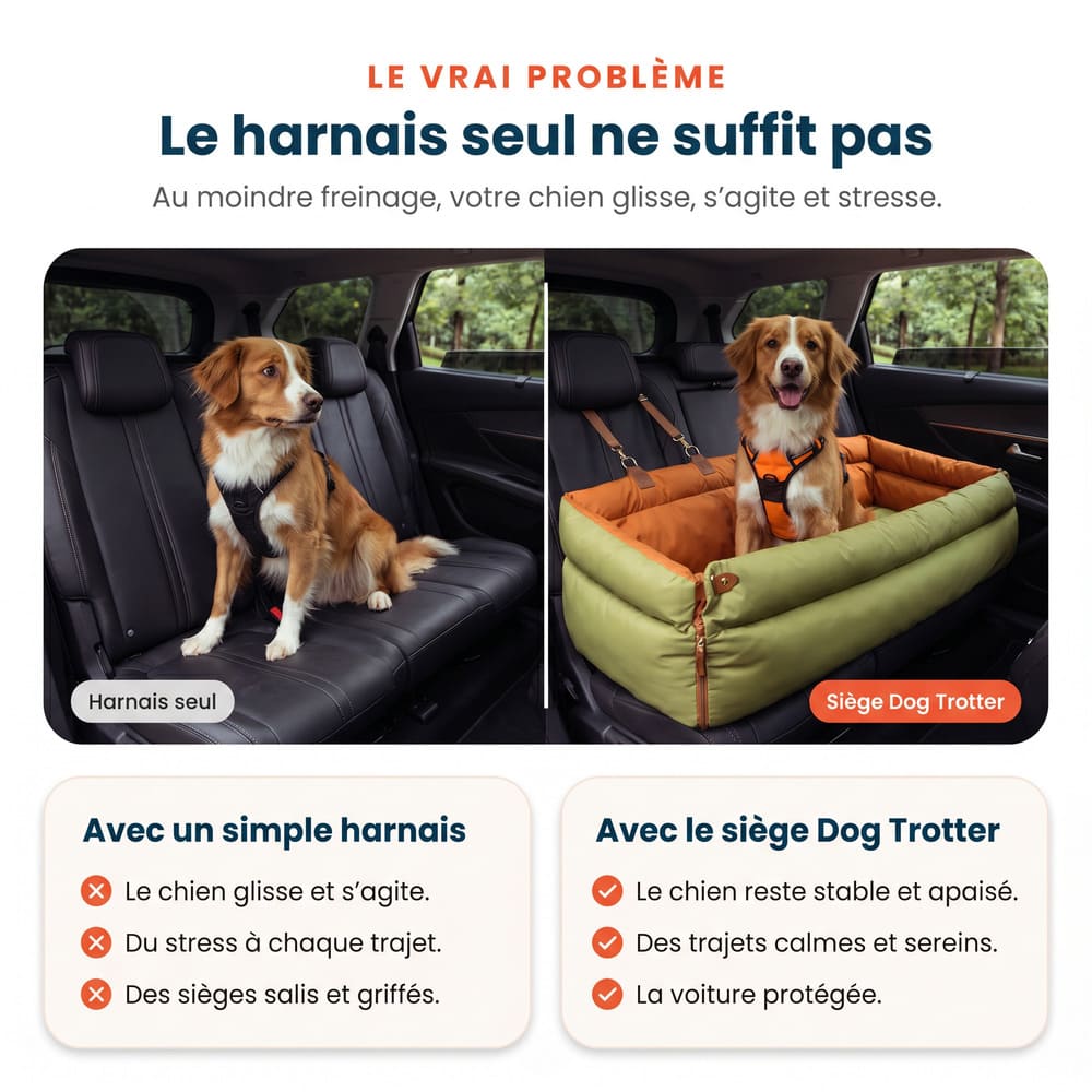 Siège auto pour grand chien