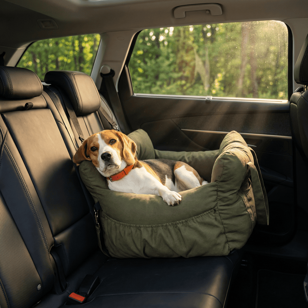 Siège de transport chien voiture