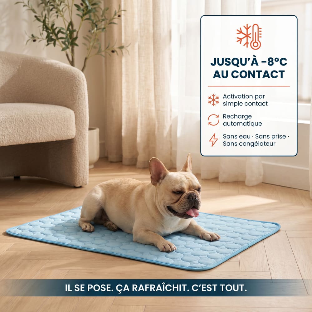 Tapis rafraîchissant pour chien