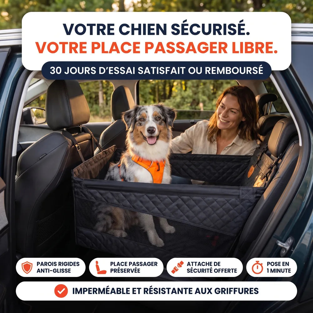Caisse de transport sécurisé voiture pour chien