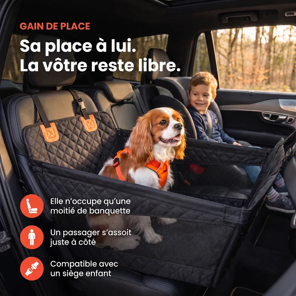 Caisse de transport sécurisé voiture pour chien