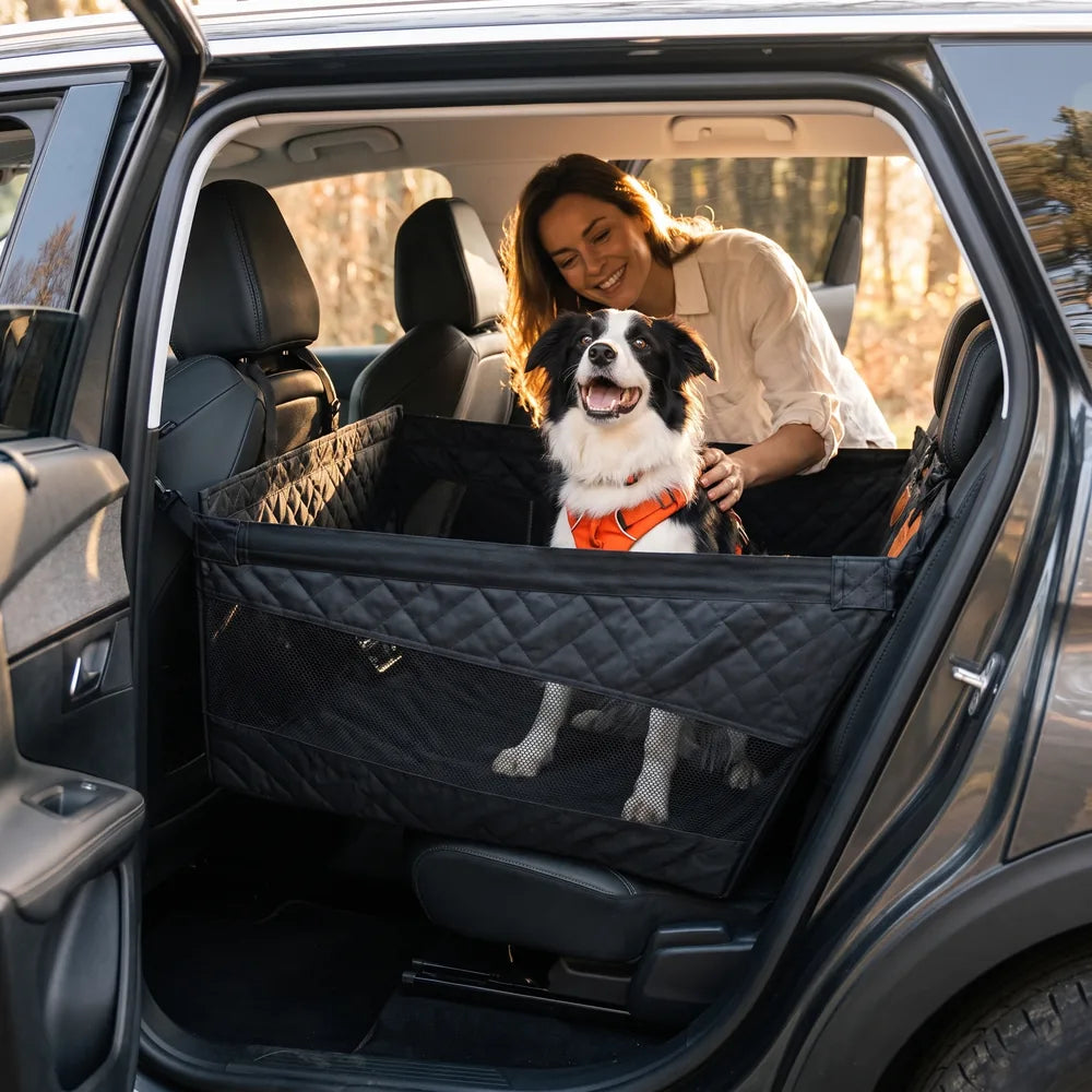 Caisse de transport sécurisé voiture pour chien
