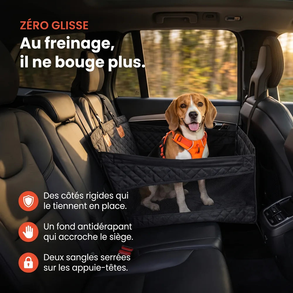 Caisse de transport sécurisé voiture pour chien