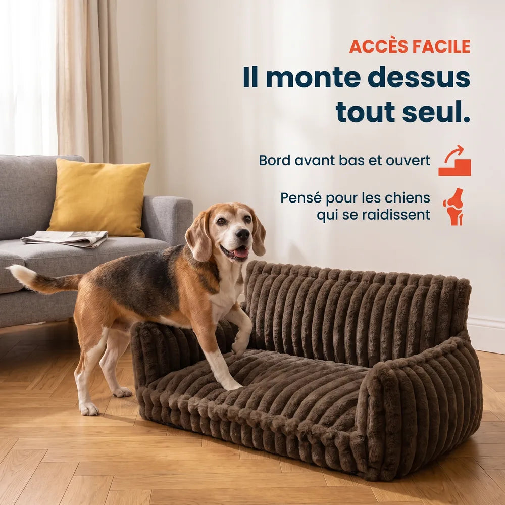 Canapé lit orthopédique pour chien