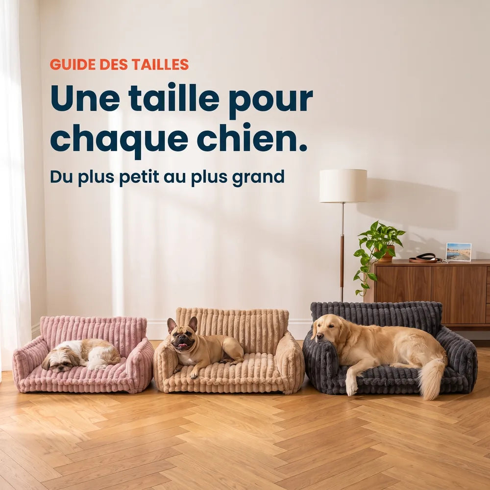 Canapé lit orthopédique pour chien