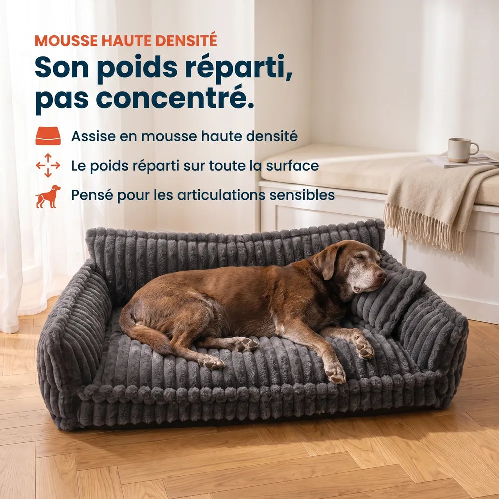 Canapé lit orthopédique pour chien