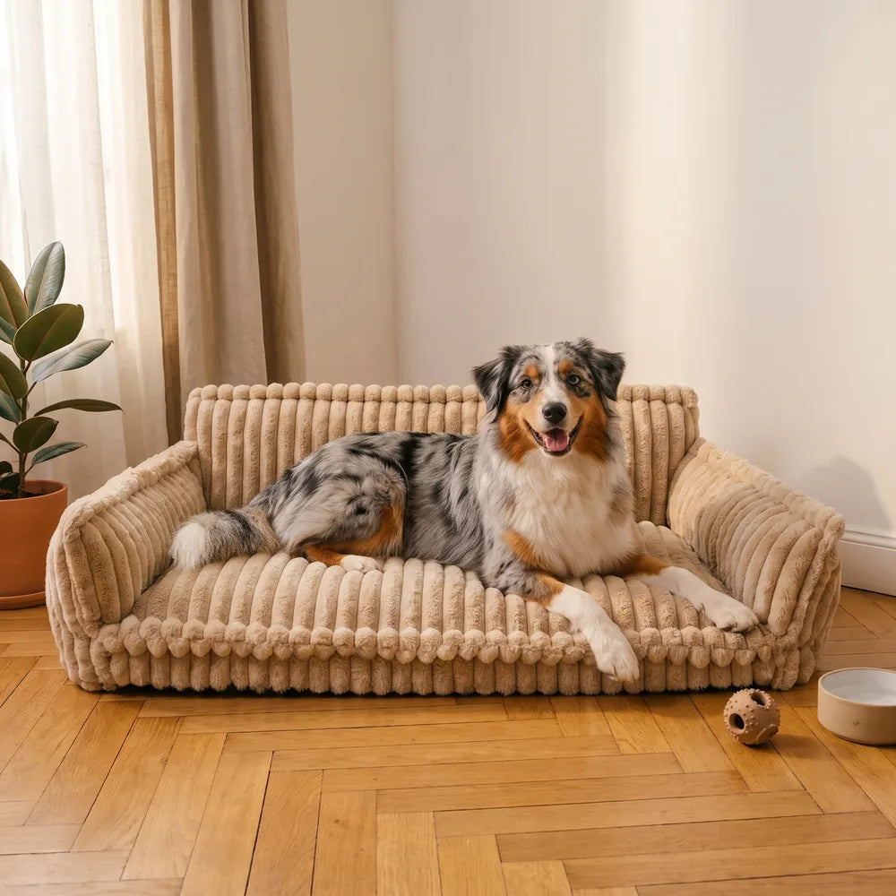 Canapé lit orthopédique pour chien