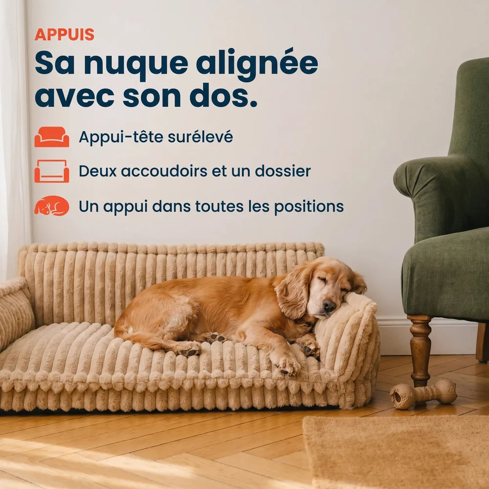 Canapé lit orthopédique pour chien